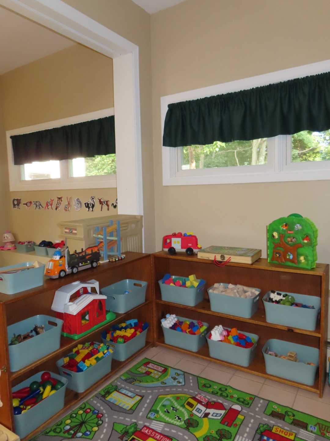 Organized playroom with toy storage