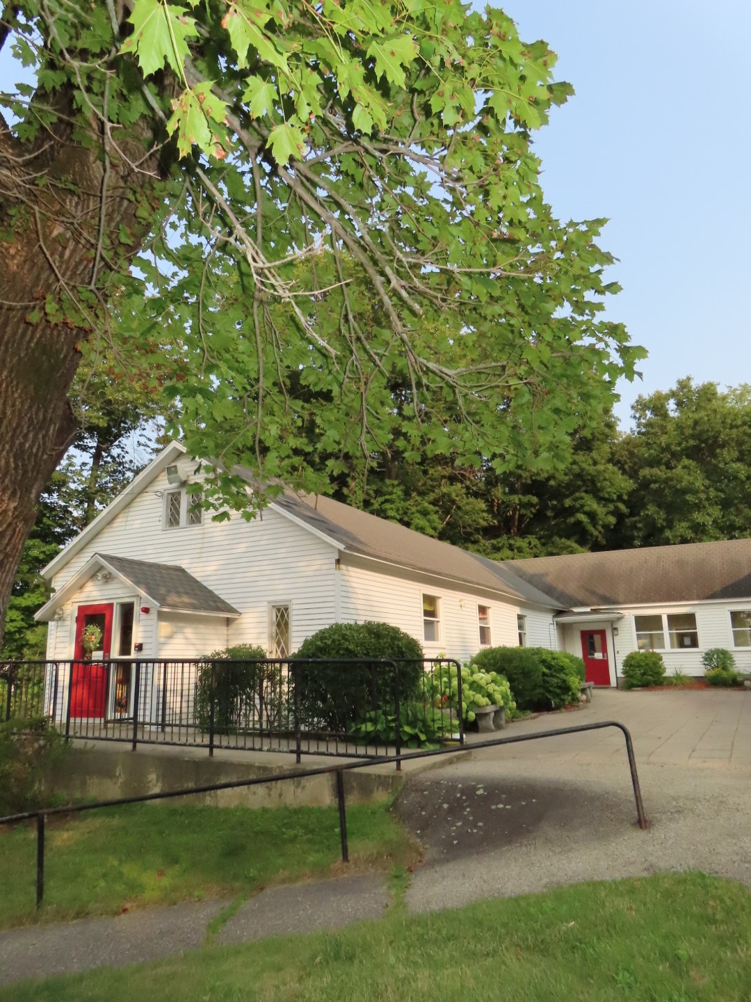White house under large tree canopy